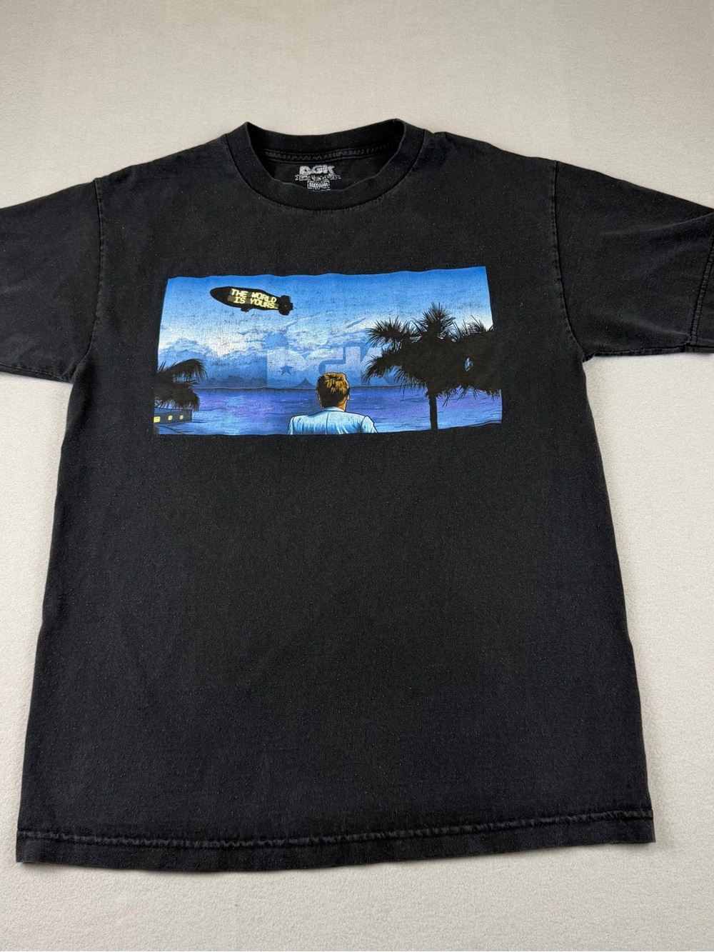 DGK Black Tee with Blue Beach Scene Graphic